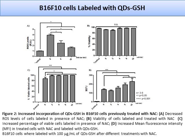 Evaluation of a novel tool for the study of early metastasis based in B16F10 murine melanoma cells labeled with Cd-Te Quantum Dots