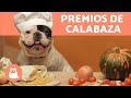 Comida Casera para Perros 🐶 - PREMIOS DE CALABAZA
