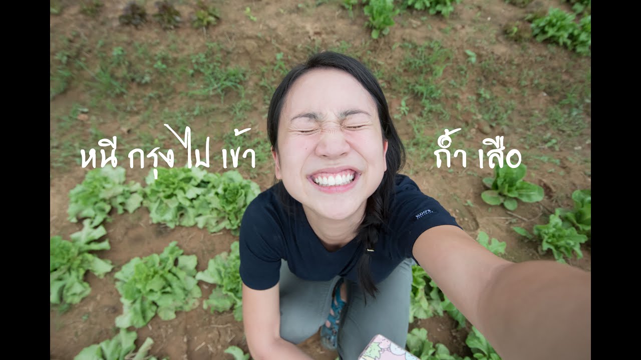 เพชรบุรี: หนีกรุง พุ่งขึ้นรถไฟ ไปเข้าถ้ำเสือ