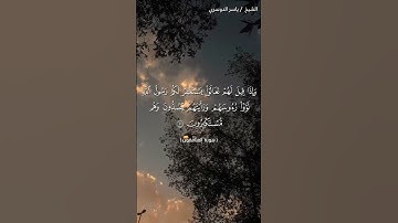 سورة المنافقون من آية 4 الى آية 6 بصوت الشيخ ياسر الدوسري♥♥
