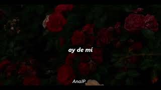 Detesto En Mi  Silvana Estrada; Letra