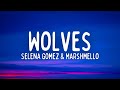 Selena gomez  marshmello  wolves lyrics