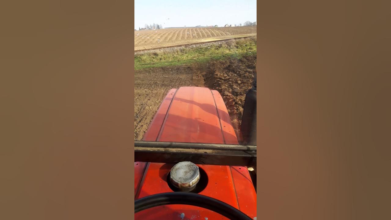 Yanmar YM 4220d turbo - orba - YouTube