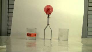 Thermoelectric (Peltier--Seebeck) Effect Demonstration