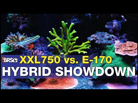 Did the BRS/WWC Hybrid Method really work?? 9-month update!