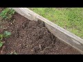 How To Get Rid of Ants In Your Garden (100% Proof It Works!!!!!)