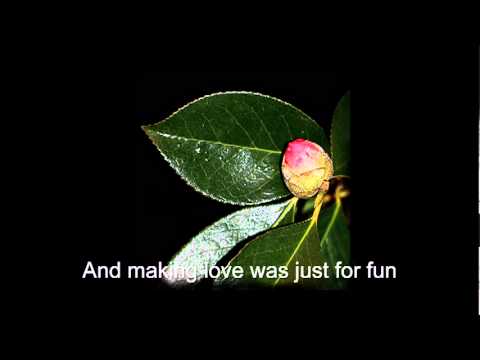 Slide Show de flores Camelias - Jamie ONeal - All ...