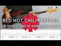 RED HOT CHILI PEPPERS - THE ADVENTURES OF RAIN DANCE MAGGIE | Bass Cover Tutorial (FREE TAB)