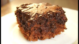Super Simple Cocoa Cake! Cake for beginners!