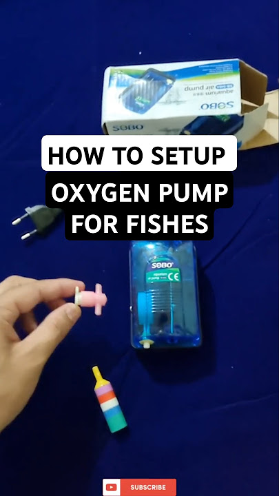 How To Install Oxygen Pump For Fish SOBO SB-548A #shorts #sobo #fish #airpump #oxygen