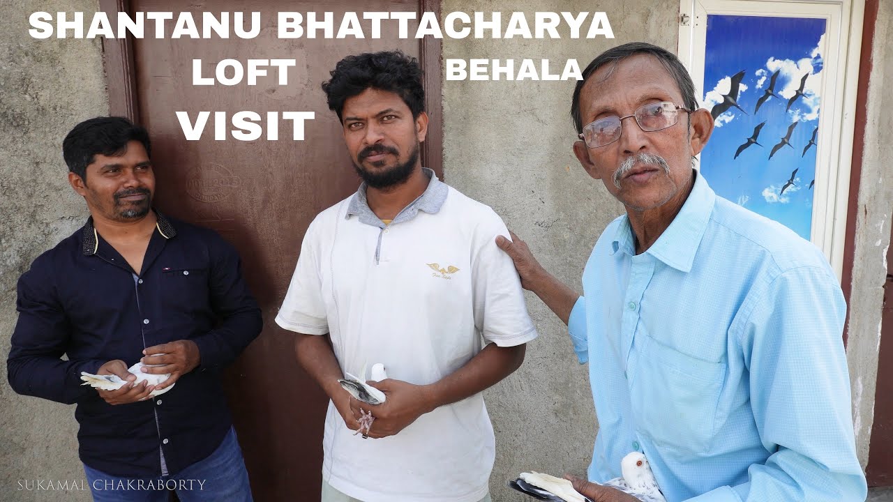 Shantanu Bhattacharya Pigeon Loft Visit at Kolkata Behala - 9051971213 ...