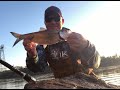 Conowingo Dam, great Shad fishing below the dam April 2021