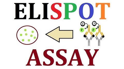 ELISPOT Assay