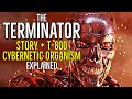 THE TERMINATOR (Story + T 800 Terminator Cybernetic Organism) Explained