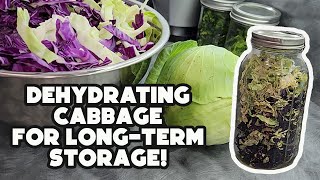 Dehydrating Cabbage | Preserve without Fermenting! | Sahara Folding Dehydrator
