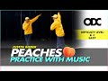 Peaches - Justin Bieber | Practice with music | DC: Vincent Vianen