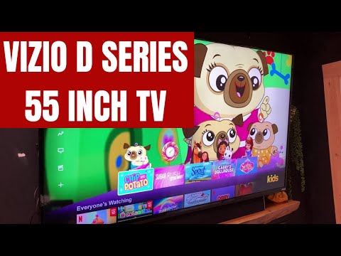 Vizio D Series 55 Inch TV