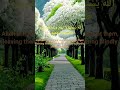 Beautiful verses of Quran_alkarim | Surah Bakra Ayat no 15 #quran_alkarim #trending #beautyofnature