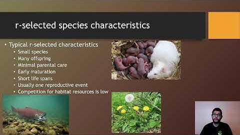 APES Topic 3.2, K-Selected & r-Selected Species