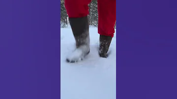 Help 