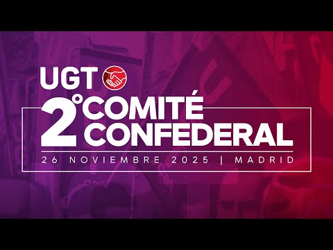 Pepe Álvarez interviene en el 2º Comité Confederal de UGT