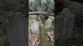 Forgotten in a Forest…Reid-Martin Cemetery. Circa 1778