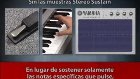 Mastery of Sound - Stereo Sustain Samples