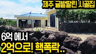 그냥 핵폭락급.. 제주 투자심리 이게 맞나요 대지 287평 귤밭과 바닷가 옆 시골집