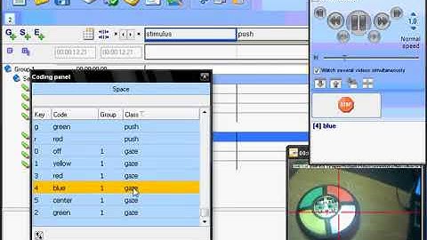 Coding head mounted eye tracking video with INTERACT