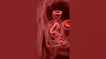 3 Supplements to Boost Brain Power