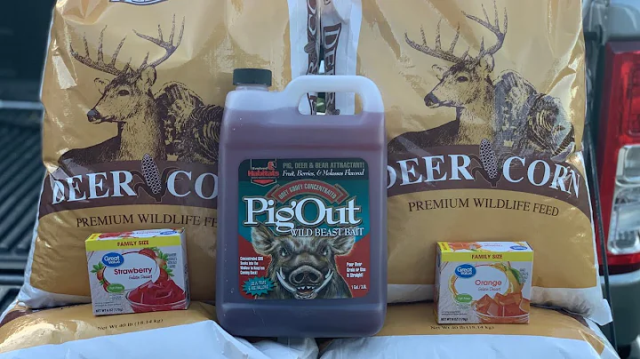 HOW To Make The BEST Sour Corn HOG BAIT (PIG OUT)