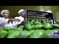 Rwanda: Fruit, vegetable exports offer huge benefits, employment