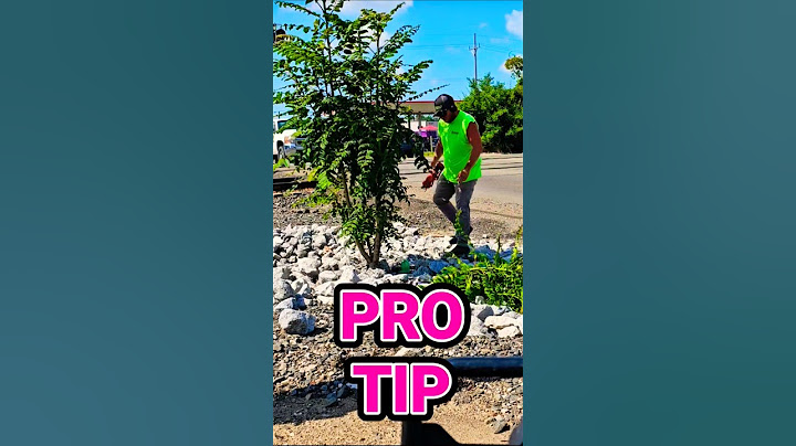 🚨 Pro Tip: Don’t be afraid to speak up — especially when it’s a safety issue or eyesore!