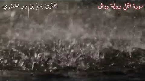 تلاوة طيبة برواية ورش عن نافع بصوت القارئ يسلم بن وبر الحضرمي