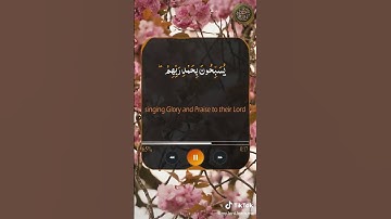 وقالوا الحمد لله الذي صدقنا وعده❤ سورة الزمر - تلاوة خاشعة - القارئ عمر الدريويز #قرآن #قرآن_كريم