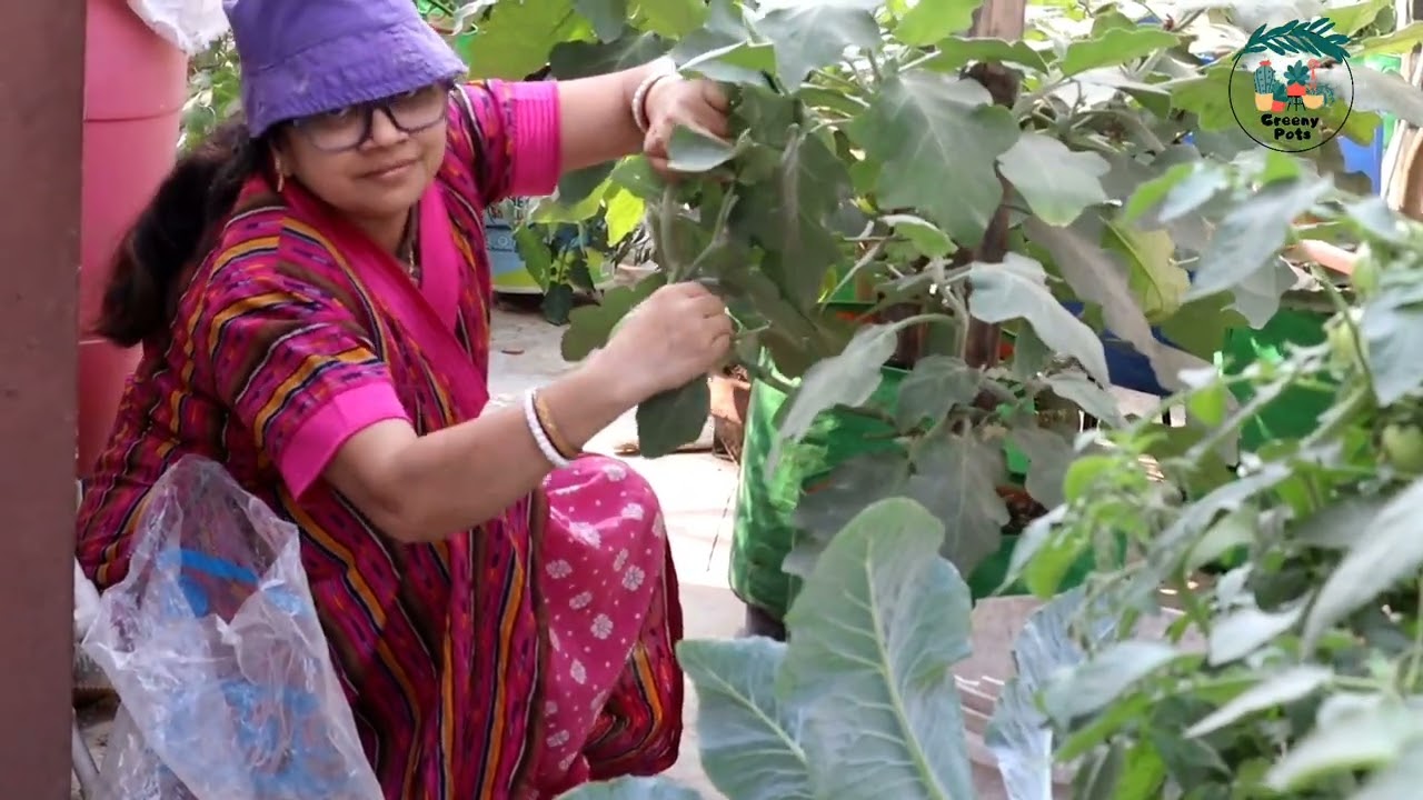 তেমন কিছু না সকালে বাগানের কাজ গুলো জুড়ে দেওয়া।