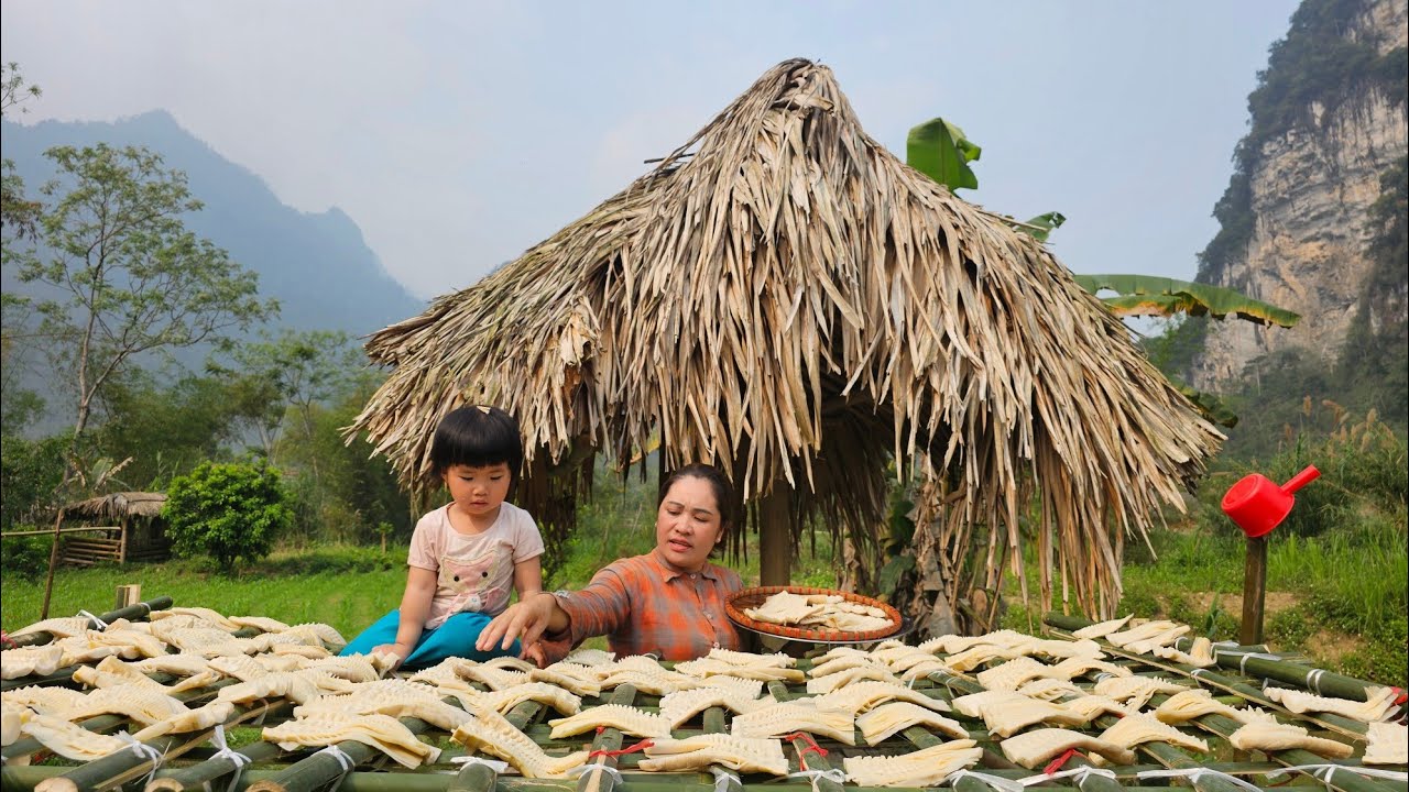 Single mother goes to the forest to pick bamboo shoots and process them ...