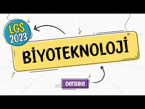 Biyoteknoloji | LGS 2023