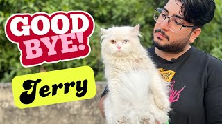 Heartbreaking Goodbye: Is Jerry the Cat Ready for a New Family? by Chubby Meows 19,412 views 9 months ago 5 minutes, 37 seconds