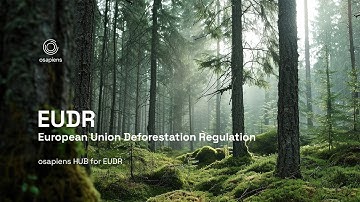 Complying with EUDR: How the osapiens HUB Supports Deforestation-Free Supply Chains