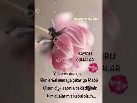 Hayırlı cunalar