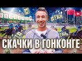 Скачки в Гонконге