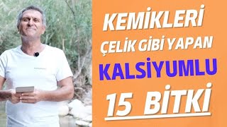 KEMİKLERİ NE GÜÇLENİR I KEMİKLERİ ÇELİK GİBİ YAPIYOR KALSİYUM KEMİK ÇAYI