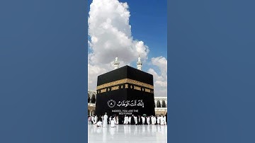 سورة آل عمران {الآية 8} بصوت الشيخ سعد الغامدي ❤️