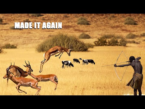 Hadza Tribe Made It Again | Life Of The Hunters | African village life | Eating In The Wild