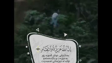 اجمل صوت قران صوت مفاجئی رعد محمد الكردي سورة ابراهيم