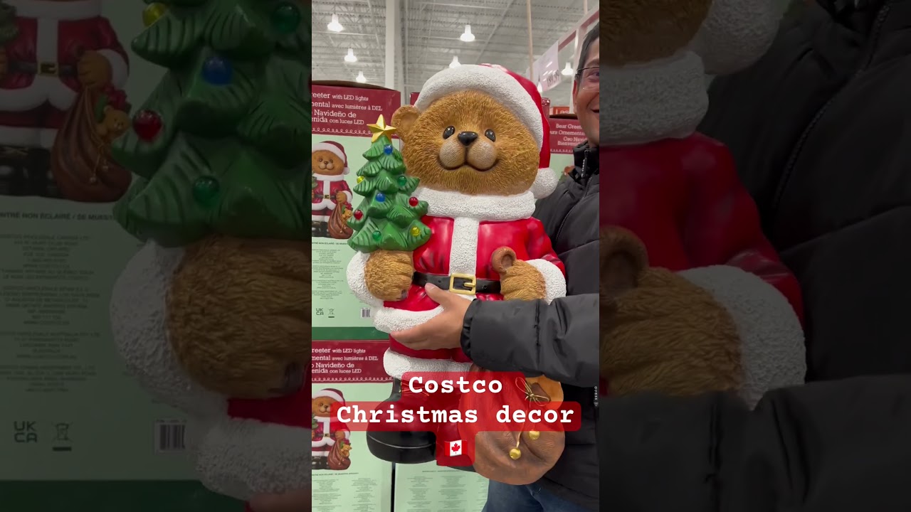 Costco christmas decor 