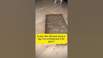 Homemade cat scratching board  #cat #catproducts #bestpetsupplies #petcareprovider #catvideos