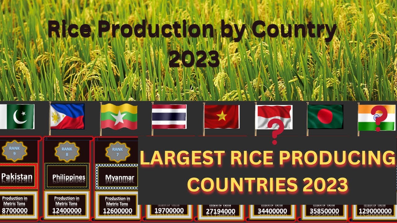 rice business plan 2023