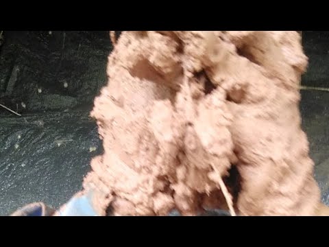 Barro... Barro - YouTube